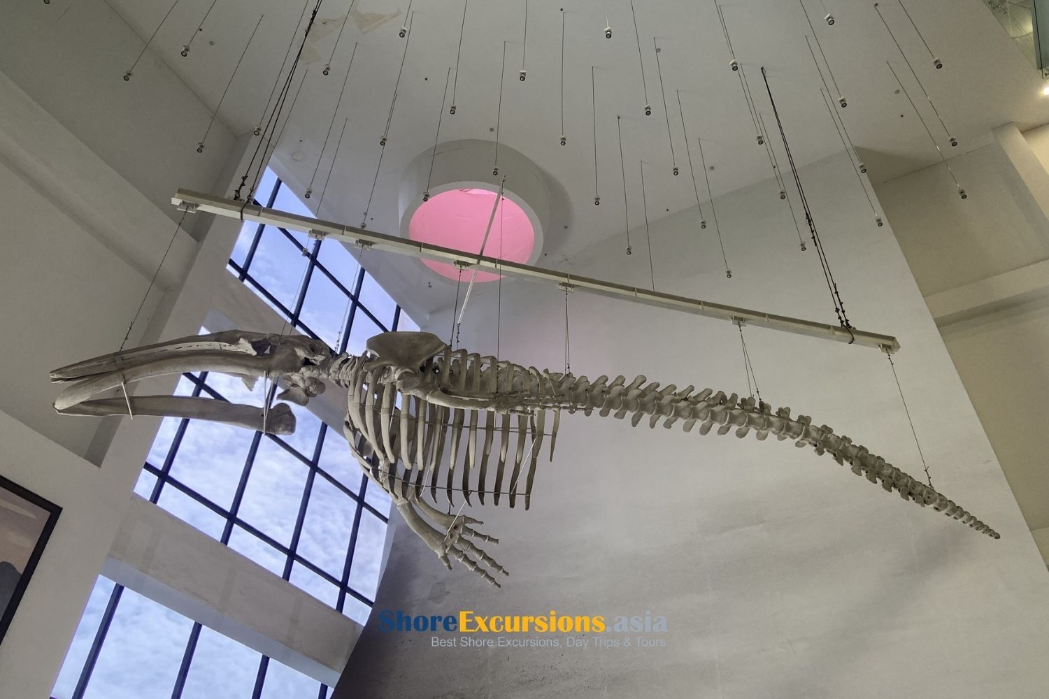 Best Time to Visit Quang Ninh Museum