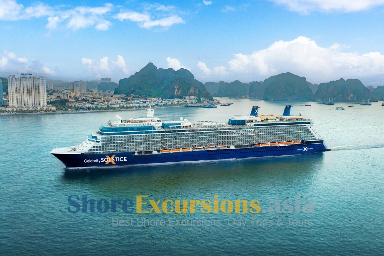 Celebrity Renewed Program