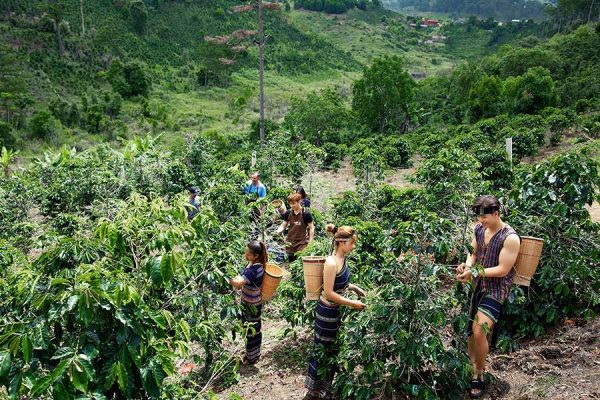 Chappi mountains - Nha Trang shore excursions