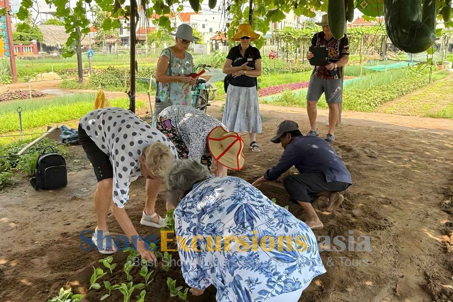 Connect with Locals on Vietnam Shore Excursions