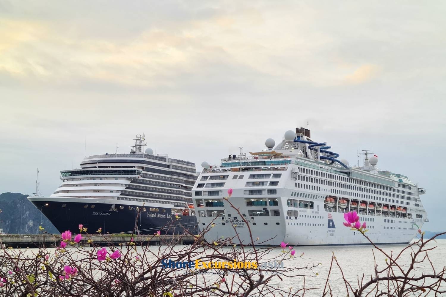 Cruise Lines Visiting Halong International Cruise Port