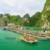 Cua Van Floating Village cruise excursions