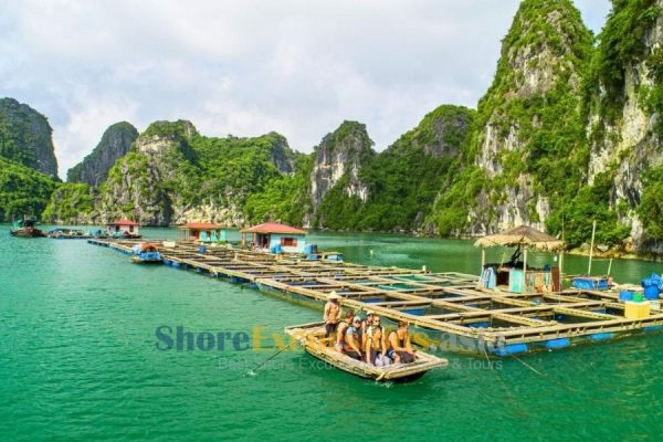 Cua Van Floating Village cruise excursions
