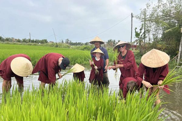 Experience the Real Vietnam Wet Rice