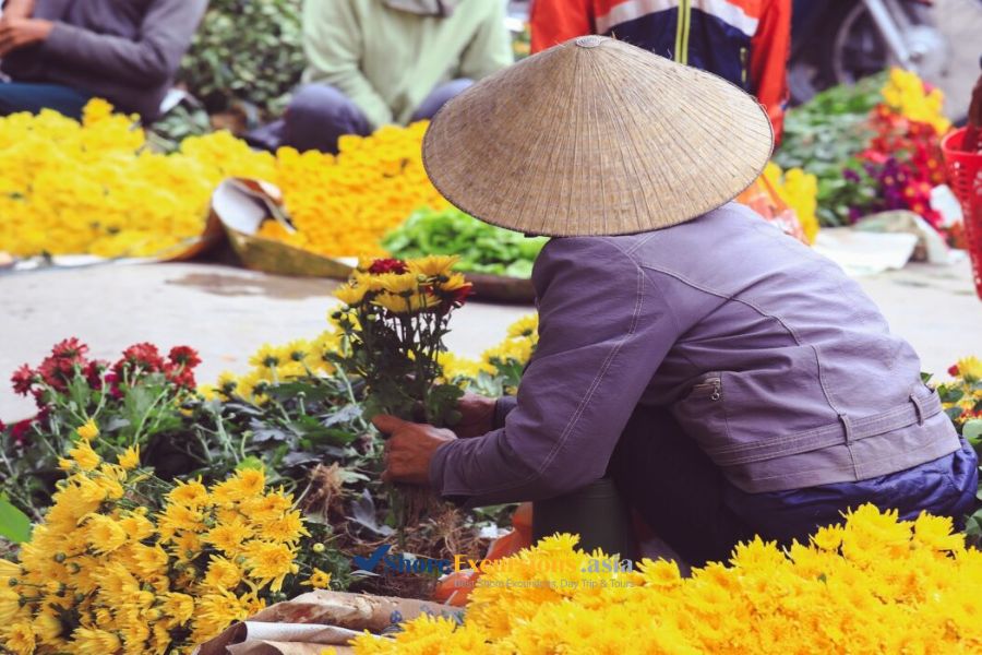 Ho Thi Ky Flower Market - Ho Chi Minh City shore excursions Ho Thi Ky Flower Market - Ho Chi Minh City shore excursions