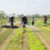 Hoi An Farming & Fishing Eco Tour