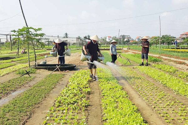 Hoi An Farming & Fishing Eco Tour
