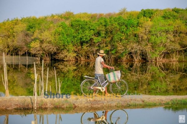 Hue shore excursions in Ru Cha Mangrove Forest