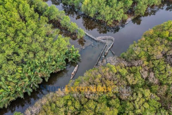 Hue shore excursions in Ru Cha Mangrove Forest