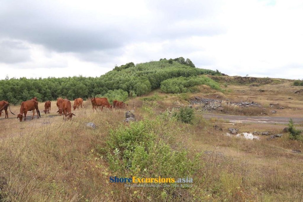 Nui Dat Task Force Base - Marked Great Historical Significance in the ...