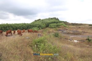 Nui Dat Task Force Base - Marked Great Historical Significance in the ...