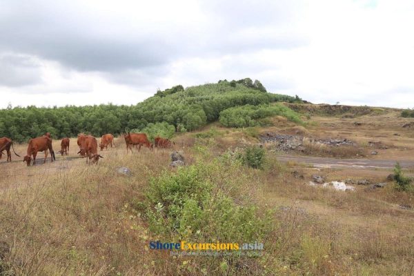 Nui Dat Task Force Base - Marked Great Historical Significance in the ...