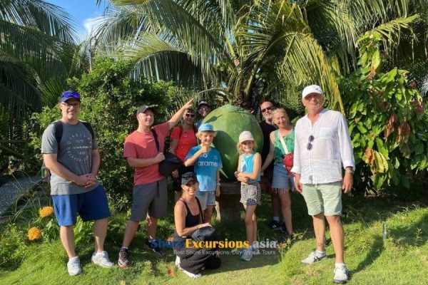 Mekong serenity tour from cruise port (5)