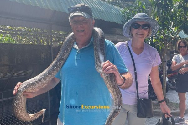 Mekong serenity tour from cruise port