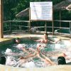 Nha Trang Rural Life & Hot Spring