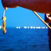 Night Squid Fishing in Phu Quoc