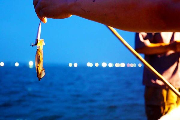 Night Squid Fishing in Phu Quoc