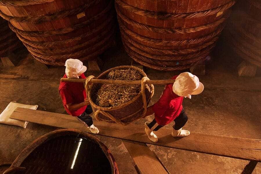 Phu Quoc Fish Sauce Factory discovery with Phu Quoc shore excursions (5)