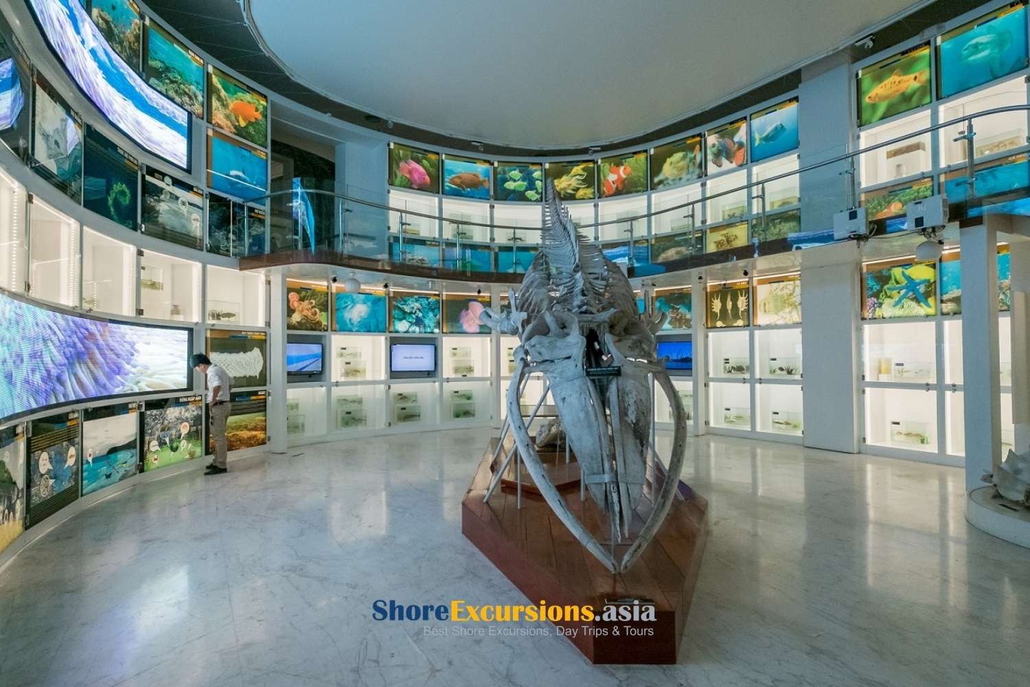 Quang Ninh Museum - Best Places to Visit Near Halong Cruise Port