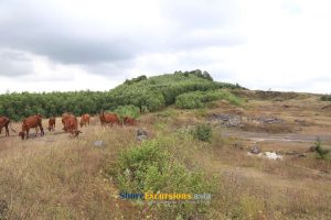 Nui Dat Task Force Base - Marked Great Historical Significance in the ...