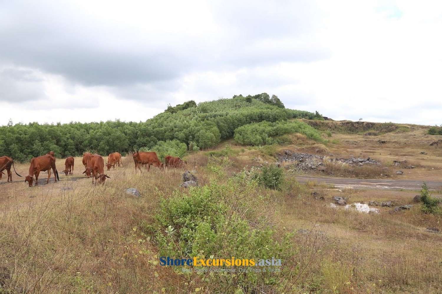 Quiet Countryside Landscape - Nui Dat Task Force Base
