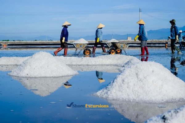 Salt Fields Visit - Nha Trang shore excursions