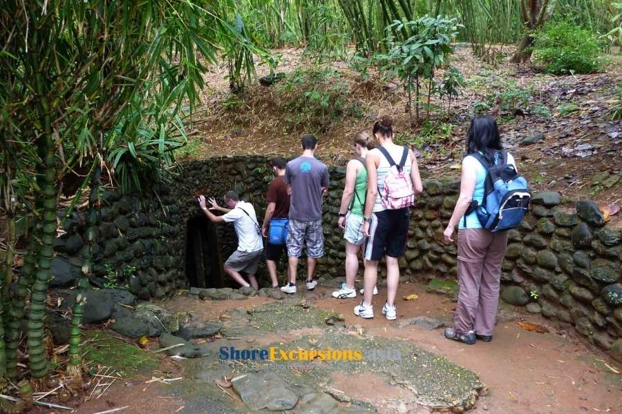 Shore excursions Ho Chi Minh city feedback