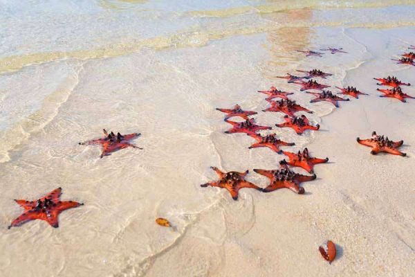 South & East of Phu Quoc Discovery Tour