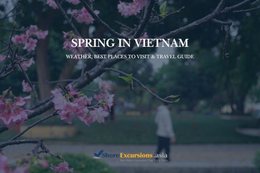Spring in Vietnam - Vietnam Shore Excursions