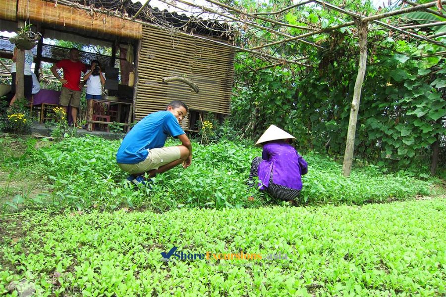 Thanh Toan Agricultural Village - Hue shore excursions Thanh Toan Agricultural Village - Hue shore excursions