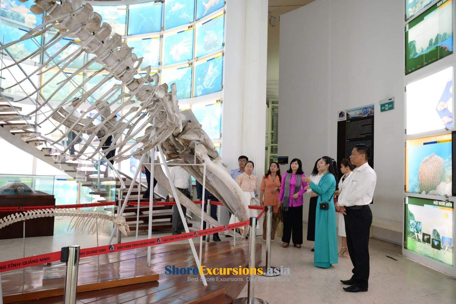Why the Quang Ninh Museum Stands Out
