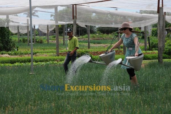 Da Nang tour from Chan May port