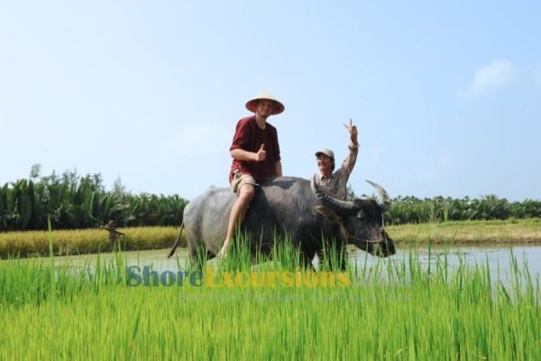 Shore trip Da Nang HOi An